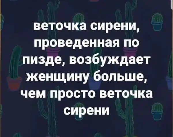 Немного слегка пошлых картинок с надписями и без