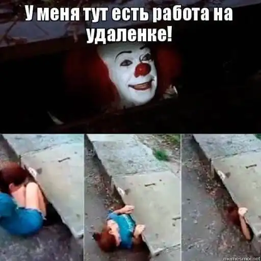 Шутки про трудоустройство в современных реалиях