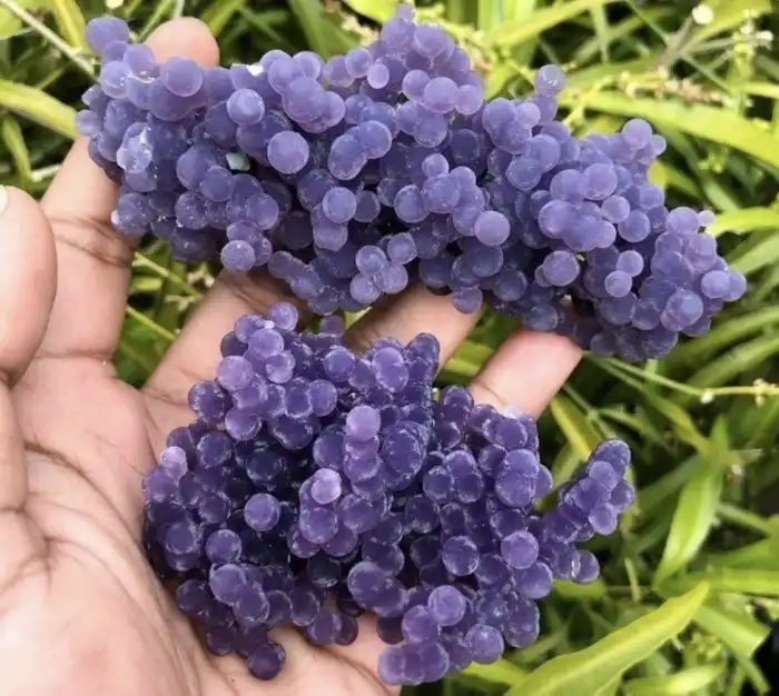 Неоспоримые доказательства того, что удивить нас для природы как щелкнуть пальцами