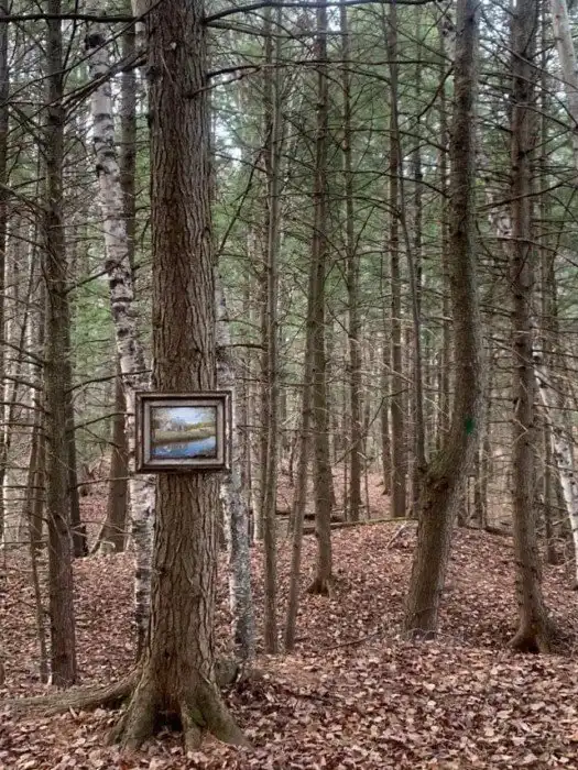 15 любопытных находок, сделанных в лесу