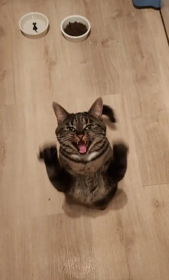 всякого пост