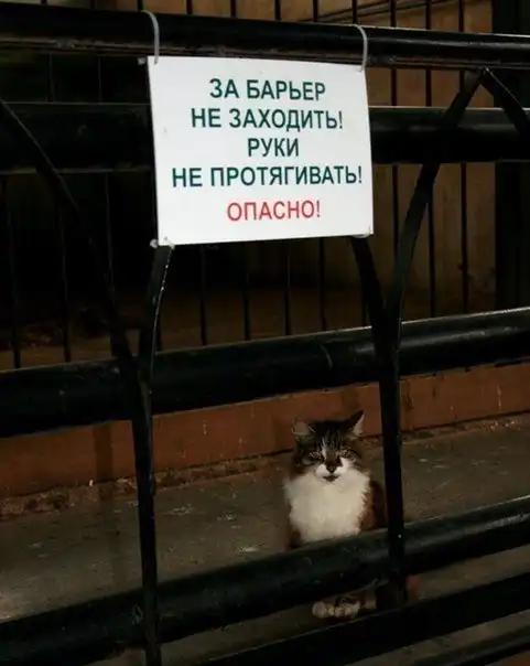 Картинки с надписями и всякие жизненные фразы