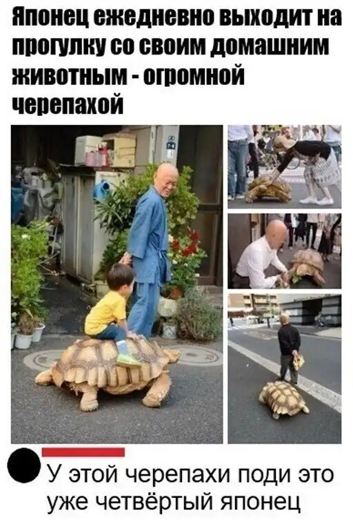 Скрины из социальных сетей