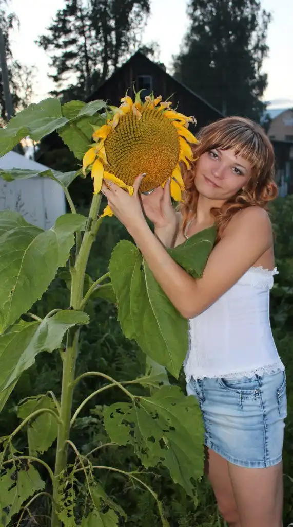 Селяночки или Девушки с окраин