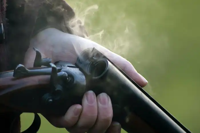 В чем разница между нарезным и гладкоствольным оружием