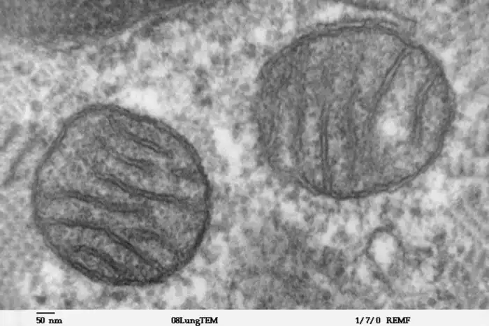 Какая самая горячая точка на теле человека