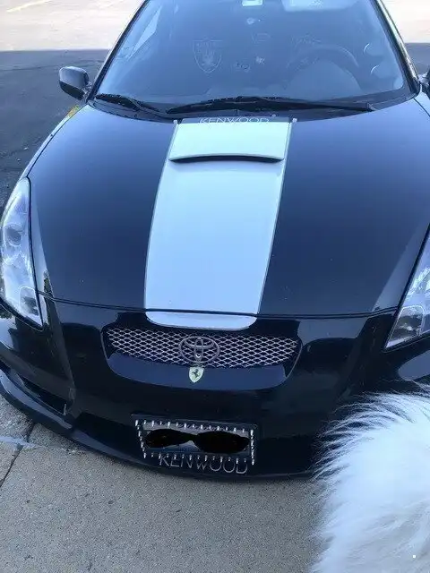 Автовсячина