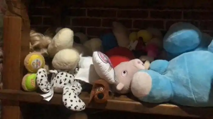 15 хитрых зверюг, которые умеют прятаться лучше любого шпиона