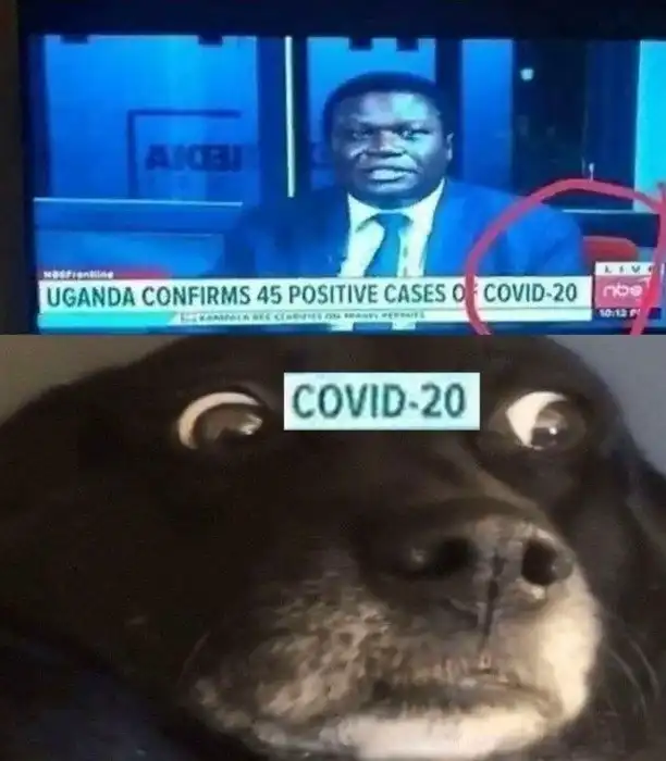 Убойные опечатки, которые круто меняют смысл сказанного и заставляют смеяться до слез