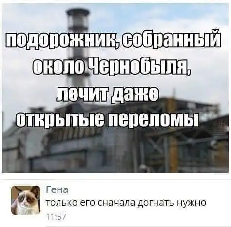 Комменты отжигают: 18 примеров, когда самый сок - в обсуждениях