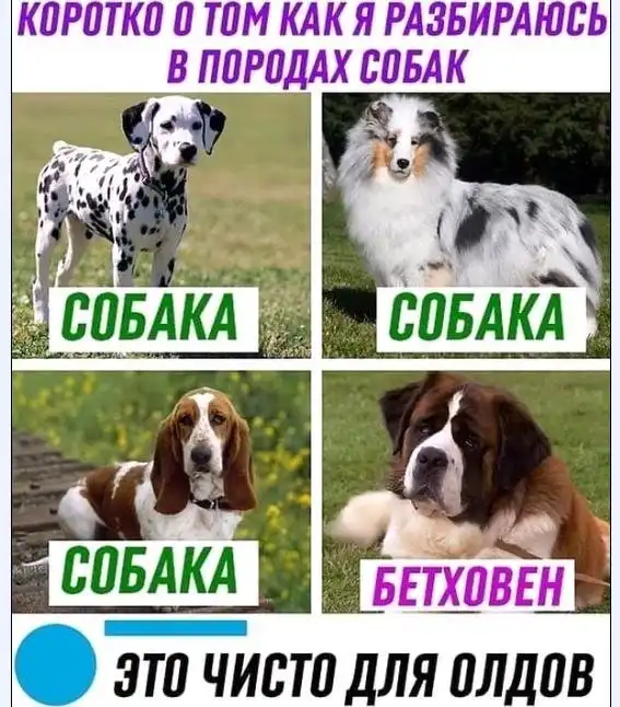 Картинки и мемы для настроения