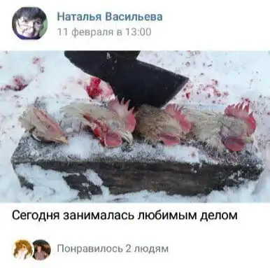 Чернушка