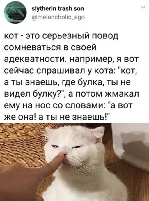 Скрины из соцсетей