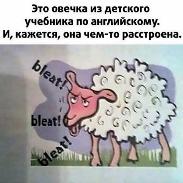 Картинки с надписями