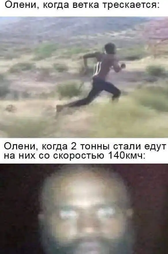 Нестандартный юмор :)