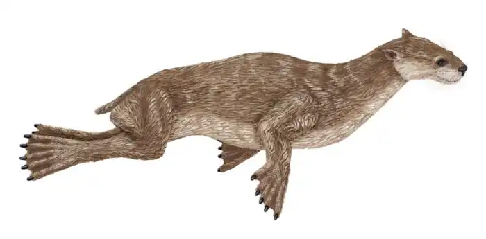 Эналиаркт: Кто был предком тюленей? Переходная форма оказалась тем ещё авантюристом