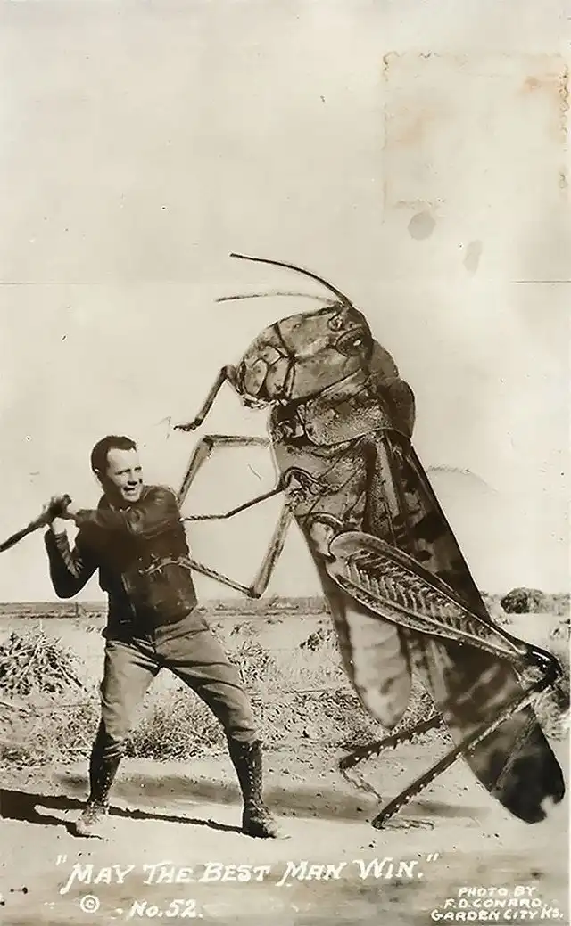 Смешной и странный фотомонтаж из начала XX века