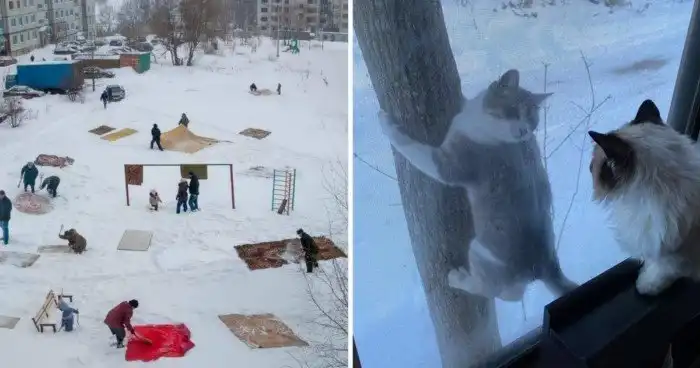 А из нашего окна...