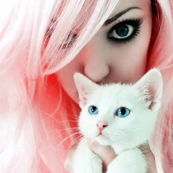 Подборочка девушек с кошками