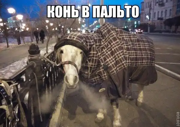 Так себе картинки