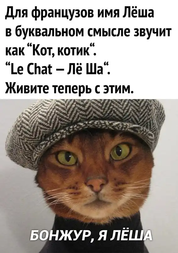 Картинки с надписями