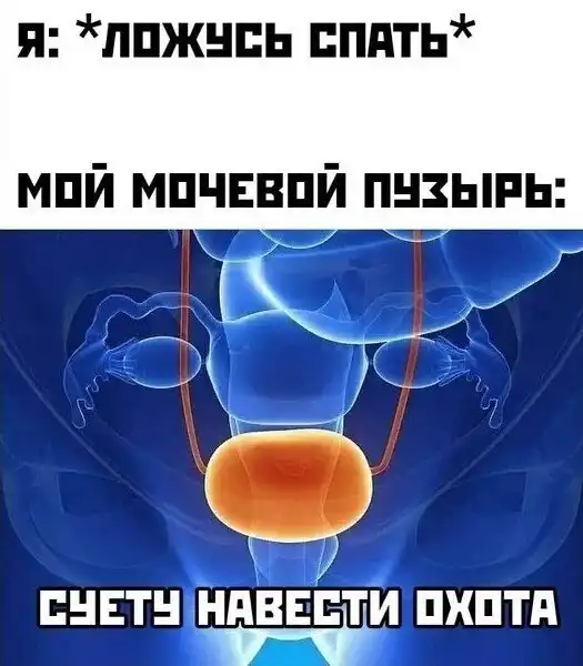 Убойные мемы про сон, в которых мы узнаем самих себя