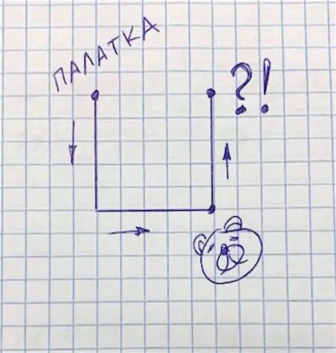Геометрическая задача: какого цвета был медведь?