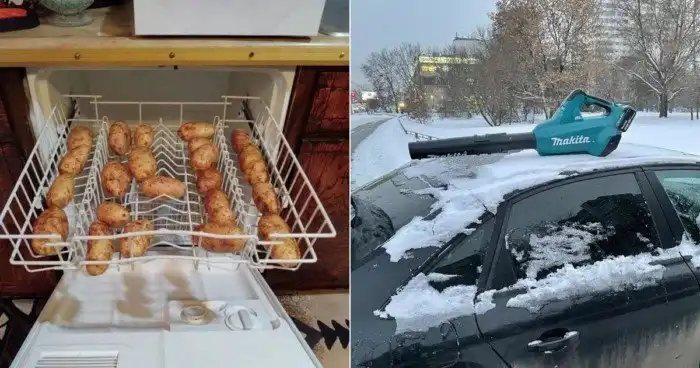 Тунеядства пост: практическое пособие для настоящих лентяев