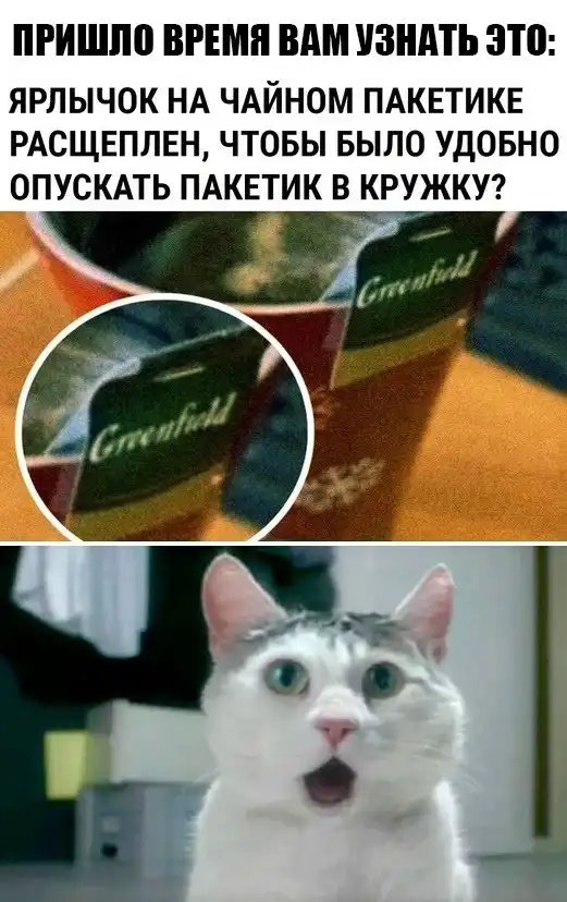 Разной степени баяны