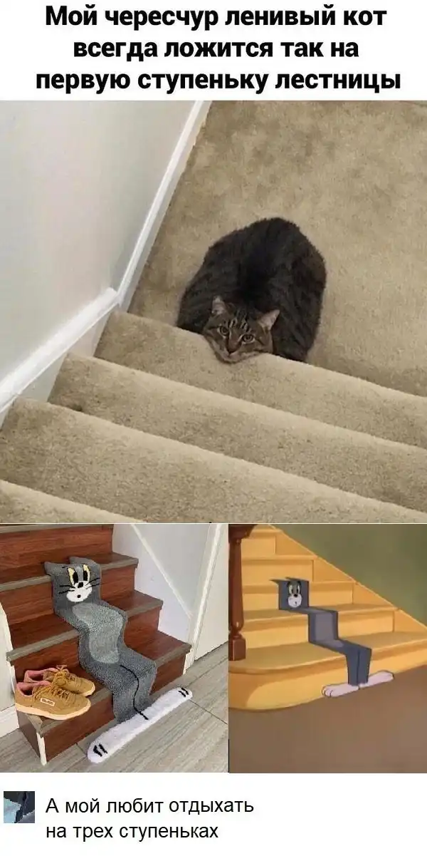 Картинки и мемы для настроения