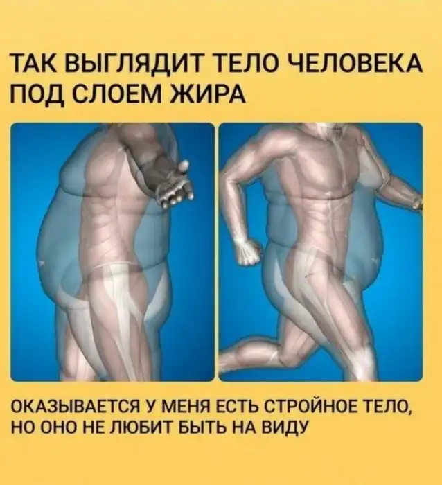 ЗОЖ: так выглядит отчаяние