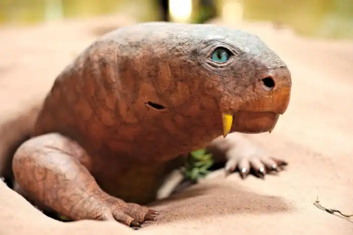 Бульбозавр: Определённо лучшее название ископаемого существа. Что объединяет покемона и вымершего полуящера?