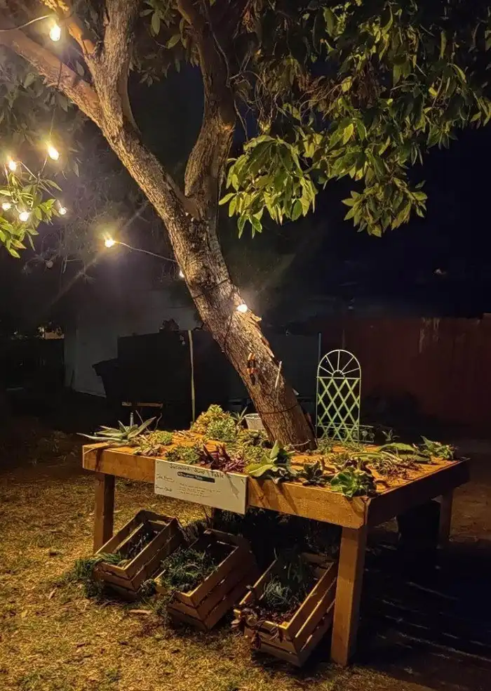 Примеры добрых и правильных дел от тех, кто неравнодушен к этому миру