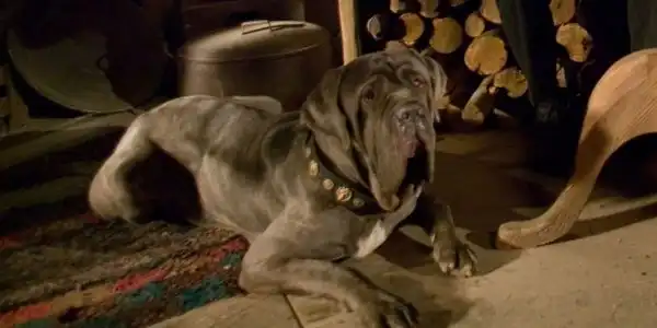 Подборка интересных "кинофактов" о съемках известных фильмов