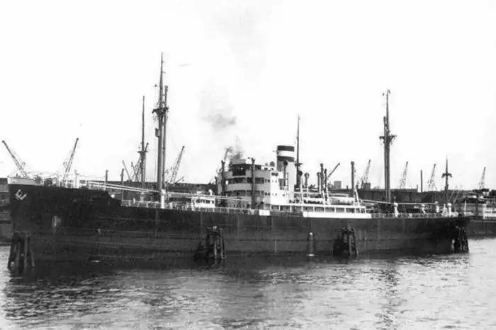 Тайна Бермудского треугольника. Почему там пропадали самолеты и корабли?