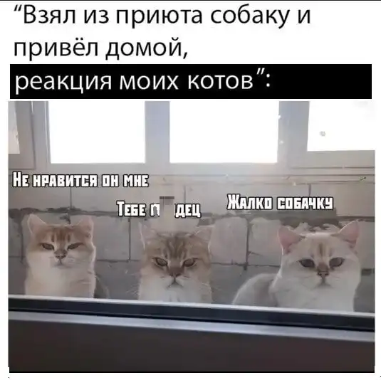 Картинки с надписями и всякие жизненные фразы