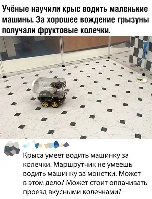 Скрины из соцсетей