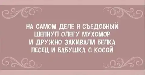 Баянисто-небаянистый юмор