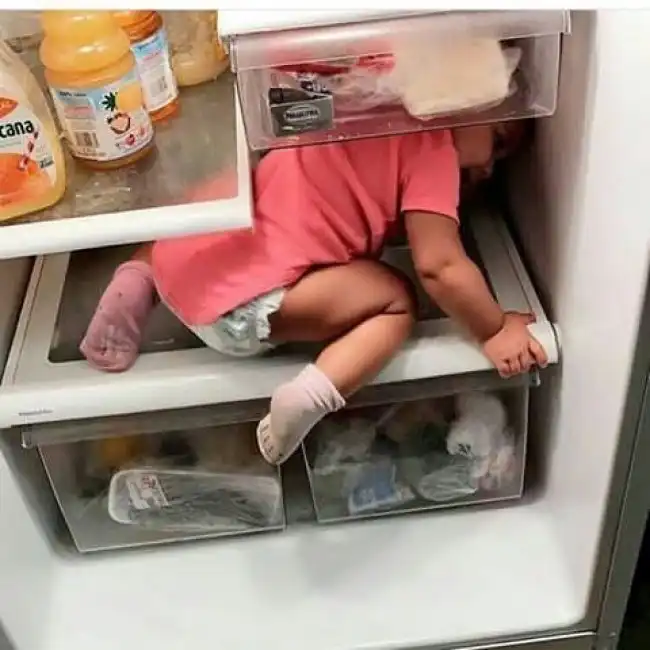 12 фотографий, на которых засняты почти идеальные преступления