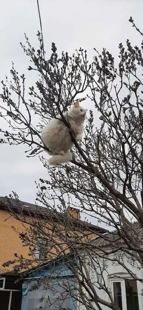 Весна пришла: морозы закончились, началась... грязь