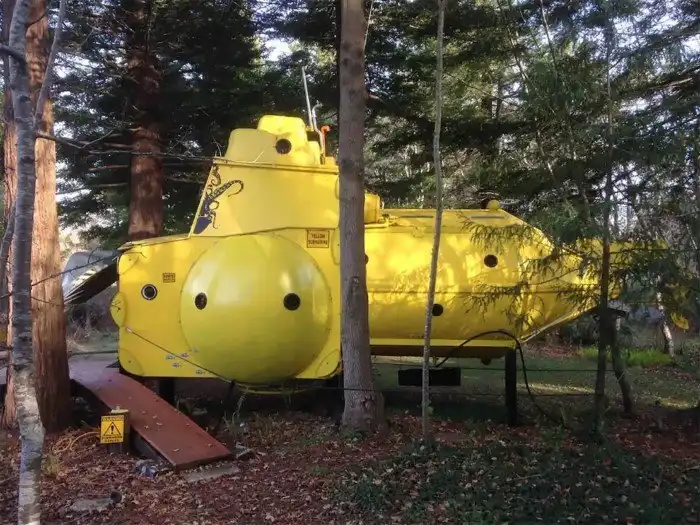 "Безумный ученый" из Новой Зеландии построил в лесу желтую подводную лодку