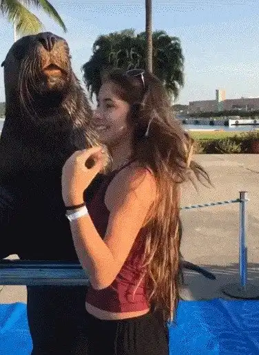 Просто гифки