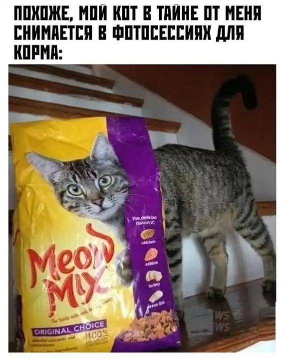 Картинки с надписями и всякие жизненные фразы