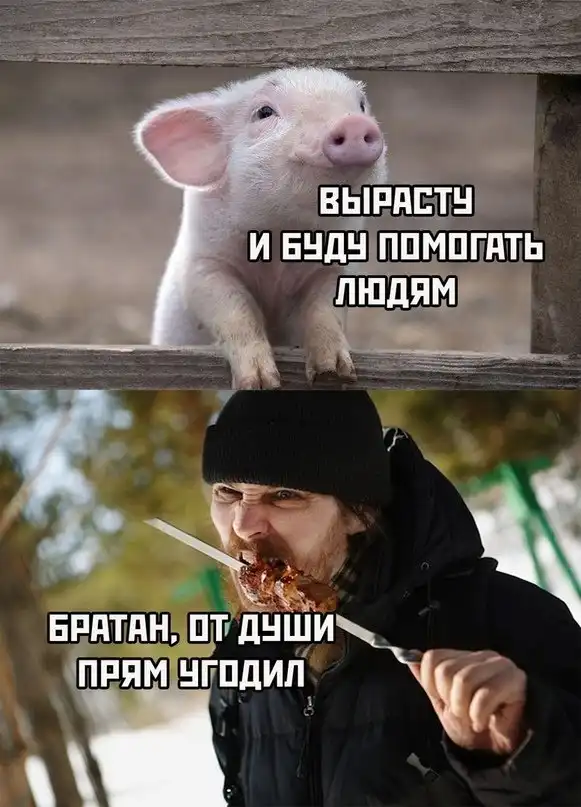 Весёлые