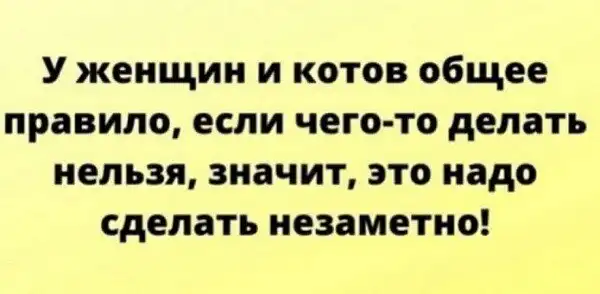 Смешные комментарии из соц.сетей