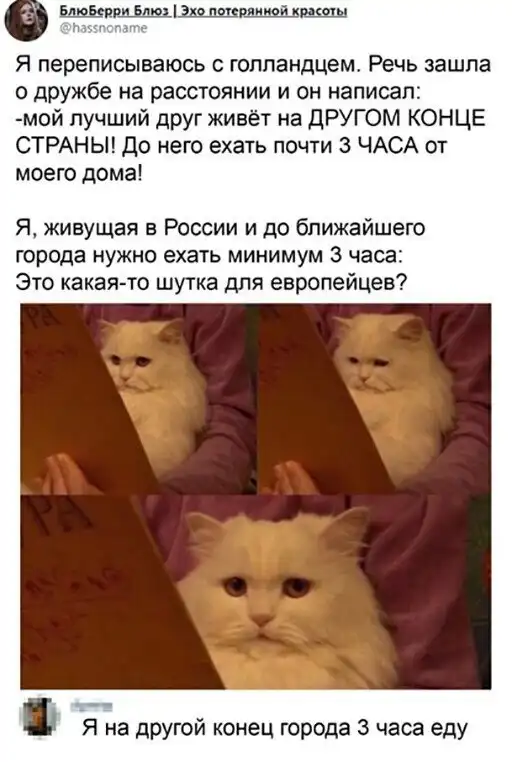 Смешные комментарии из соц.сетей