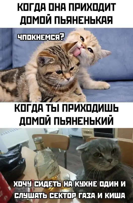 Немного слегка пошлых картинок с надписями