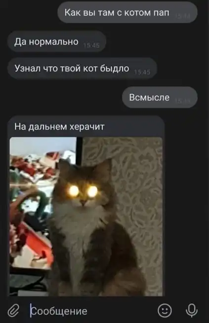 Помутнение