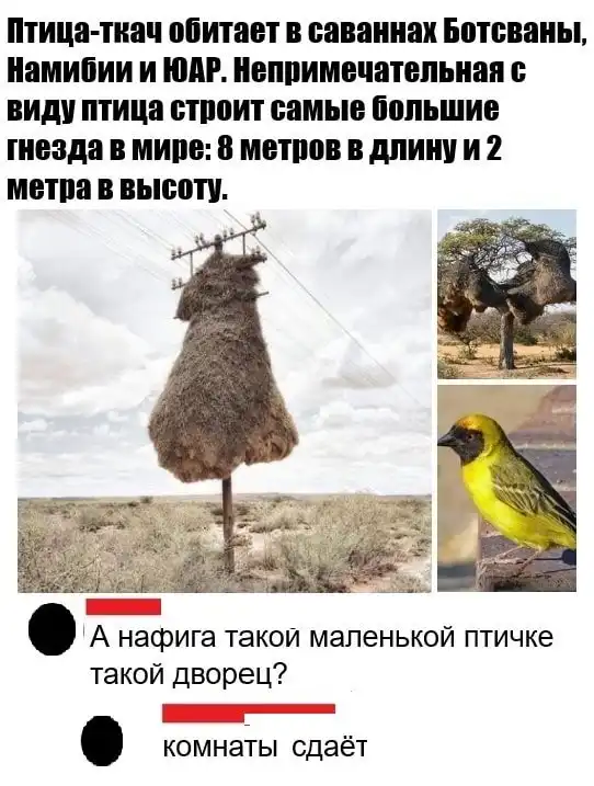 Картинки с надписями и всякие жизненные фразы