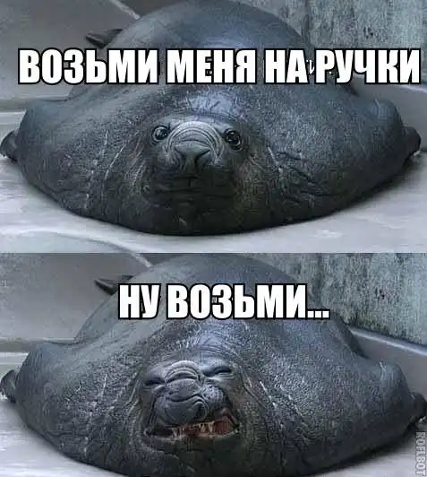 Так себе картинки